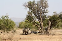 IMG_1050