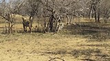 zuid Afrika deel 1