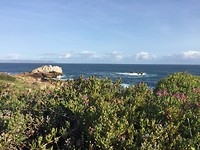 IMG_6203