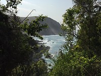 IMG_6147