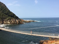 IMG_6161