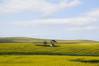 _DSC0911
