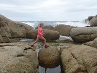 Rotsspringertje