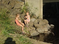 DSC03446