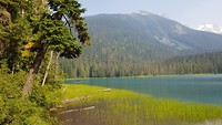 Joffrey lake