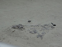 2. Valley of the Moon (32)