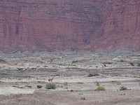 2. Valley of the Moon (35)