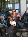 7. Tilcara - busstation cat (1)