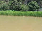 Tam Coc - Ninh Binh