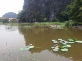 Ha, Trung and Thuong pa- godas