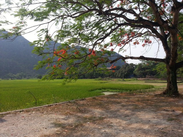 Hoa Lu temple