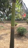 Hoa Lu temple