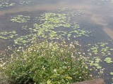 Fietstocht Ninh Binh