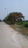 Fietstocht Ninh Binh
