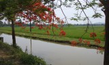 Fietstocht Ninh Binh