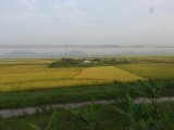 Landschap vanuit de trein - volgende ochtend