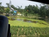 Landschap vanuit de trein
