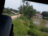 Landschap vanuit de trein