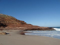DSC05075