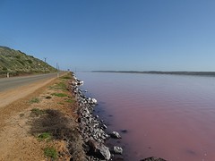 DSC05121