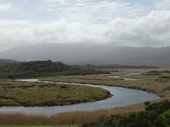 DSC06178