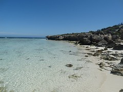 DSC05929