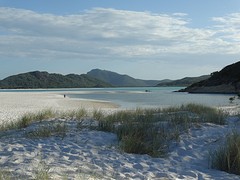 DSC06699