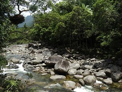 DSC06730