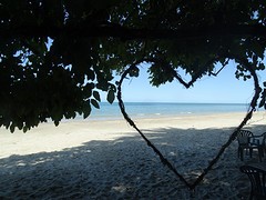 DSC06788
