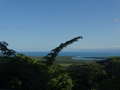 DSC06824