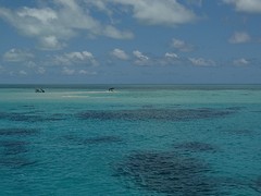 DSC06854