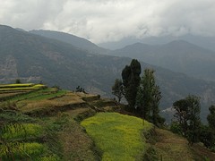 DSC07468