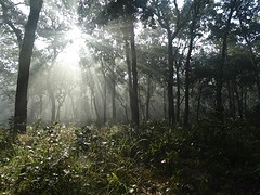 DSC07633
