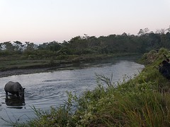 DSC07785