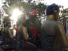 DSC07797