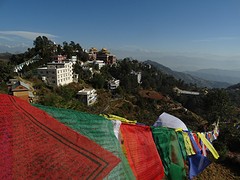 DSC07870
