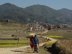 DSC07886