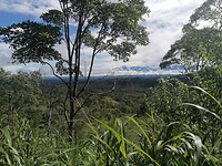 IMG_20220611_145154