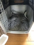 IMG_1774