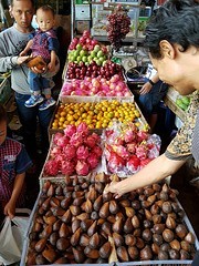 Allerlei soorten fruit