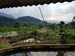 Salak Homestay