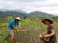 Salak Homestay