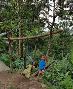 Wandeling door de Kampong