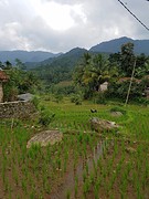 20160913_140743