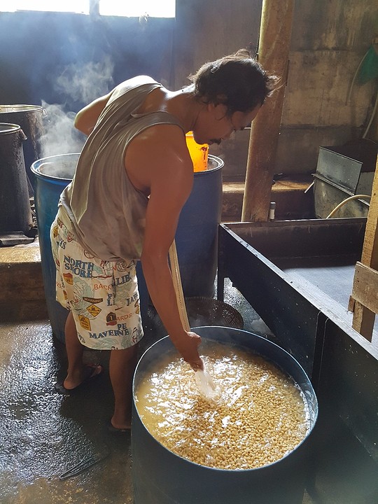 Tempeh fabriekje