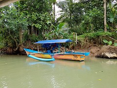 Green canyon