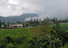 Sarangan