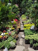 Pasar Bunga, de bloemenmarkt