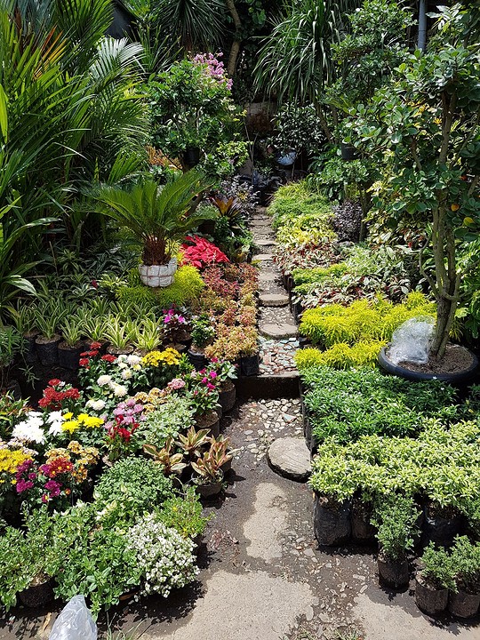 Pasar Bunga, de bloemenmarkt
