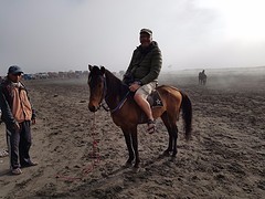 Het laatste stuk op het paard naar trap om de Bromo te zien.